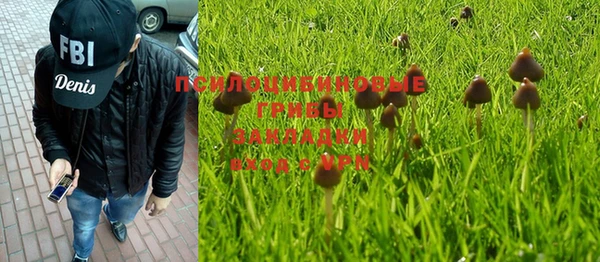 бутират Горнозаводск